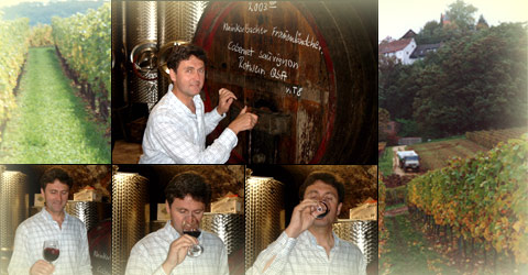 Winzermeister Karl Otto Gabel-M&uuml;ller bei der Wein-Verkostung und bei der Wein-Ernte.